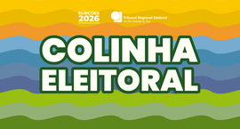 Eleições 2026: prepare sua colinha para votar