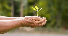 TRE-RS supera metas no Plano de Sustentabilidade 2025