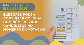Eleições 2026: Eleitores podem consultar colinha com números dos candidatos no momento da votação