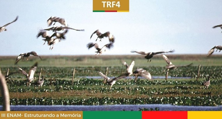 TRE-RS: TRF4 3º Enam - 04 maio 2023 TRF4 3º Enam - 04 maio 2023