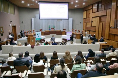 Violência doméstica 1
