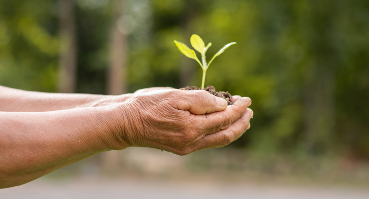 TRE-RS supera metas no Plano de Sustentabilidade 2025